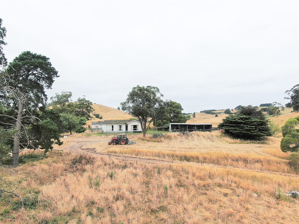 Rare farm close to Leongatha post image