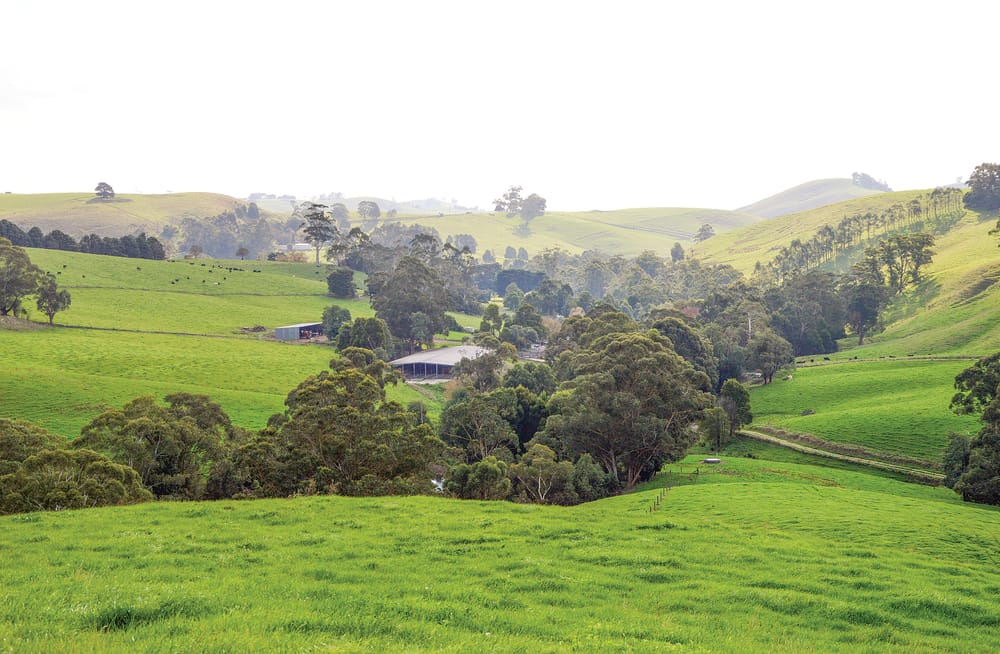 ‘Arnum’ post image