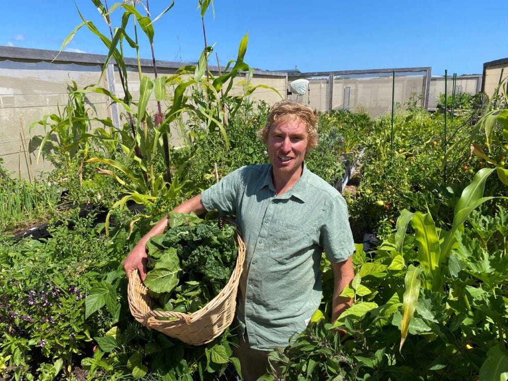 Be inspired to start your own vegie patch post image