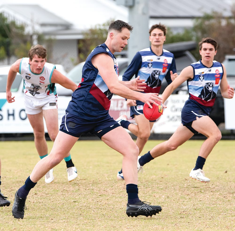 Panthers stumble against the Cobras post image