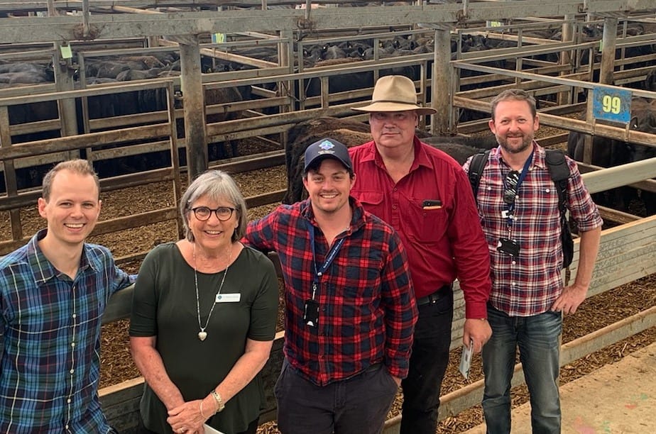 Your vision: Roads, rubbish, rates or climate change? post image