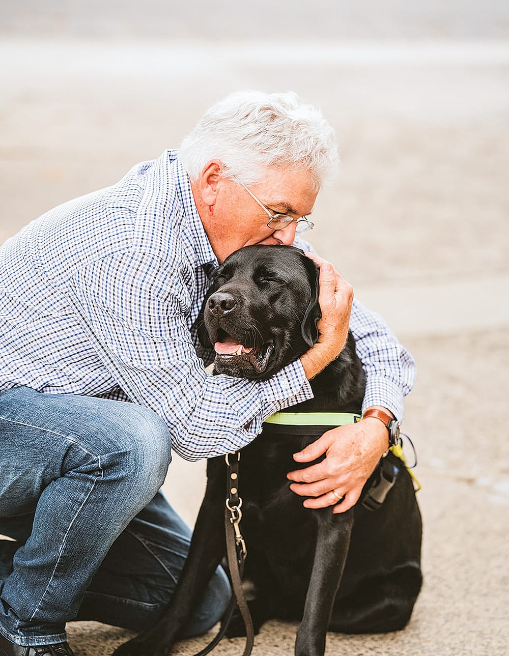 Seeing Eye Dog gives Harry the freedom he needs post image
