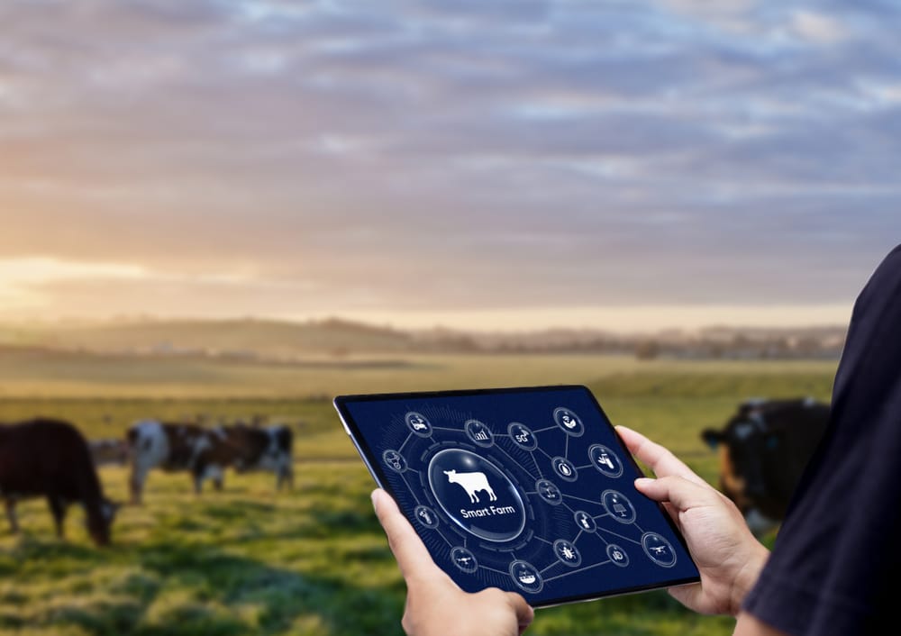 Forward-thinking focus for Gippsland’s dairy farmers post image