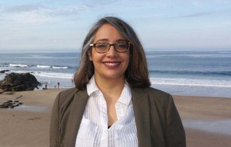 Extreme storm could 'leave Surf Parade vulnerable' post image