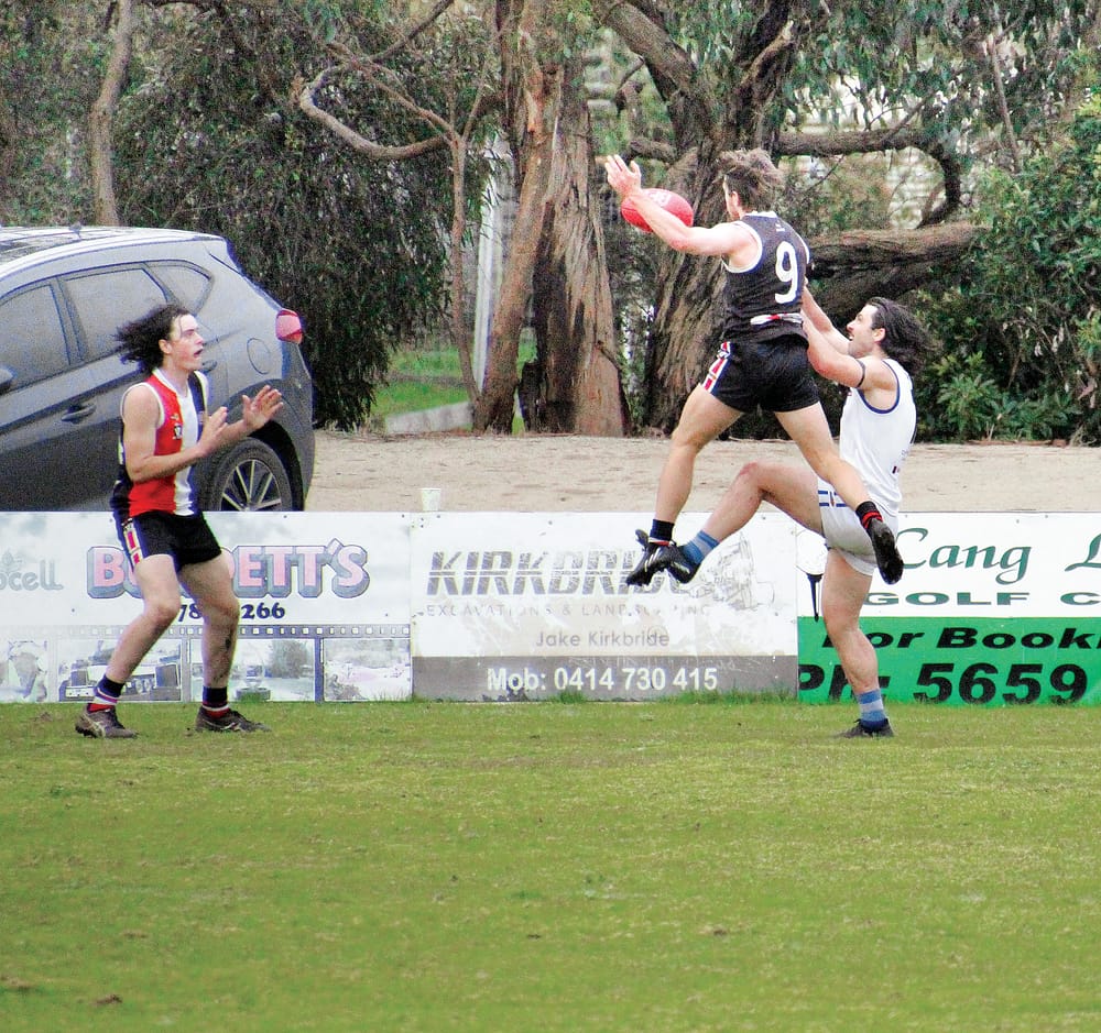 Competitive Saints fall as Cats remain unbeaten post image