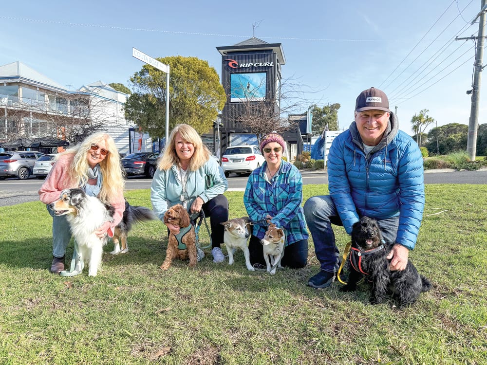 Pooch power! - Paws galore raised for more dog-friendly beach walks post image