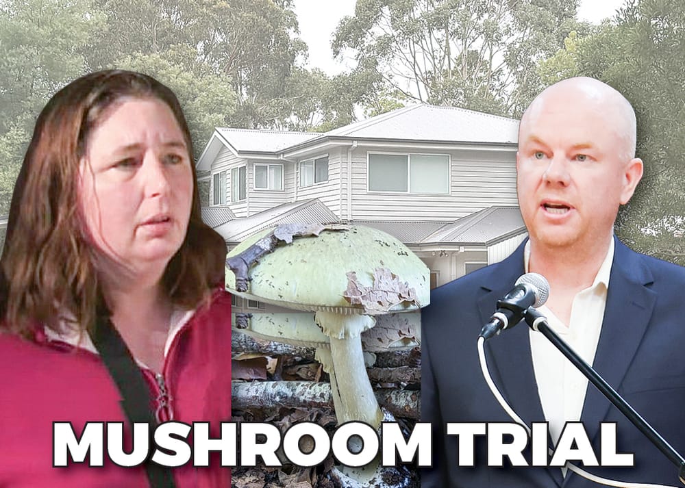 Erin's day in court: Not cancer, it was gastric bypass surgery, she said post image