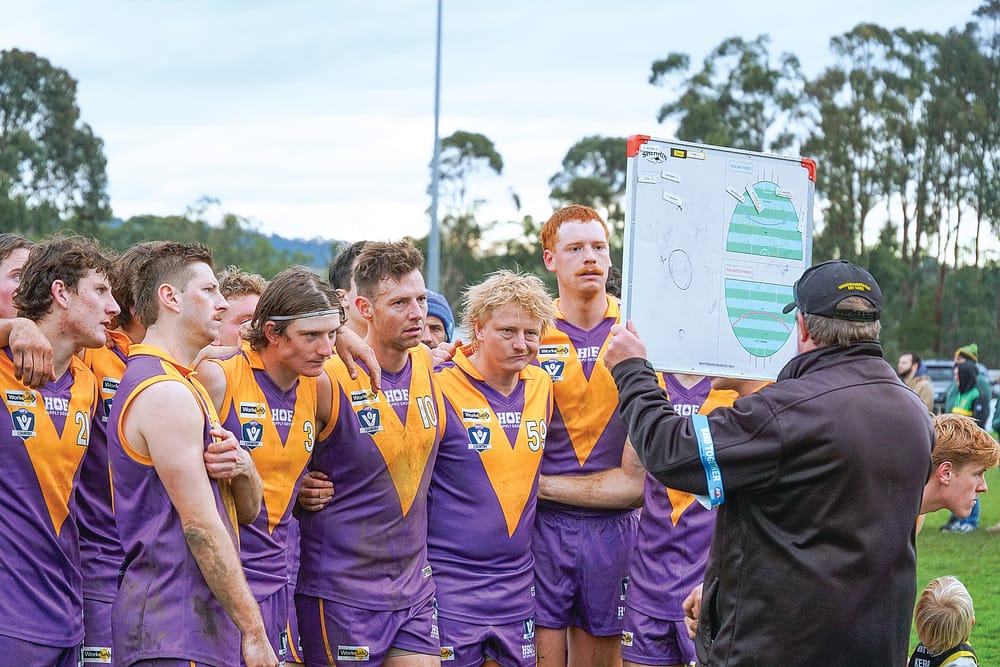 Tigers retain sixth place despite home loss to Hillsmen post image