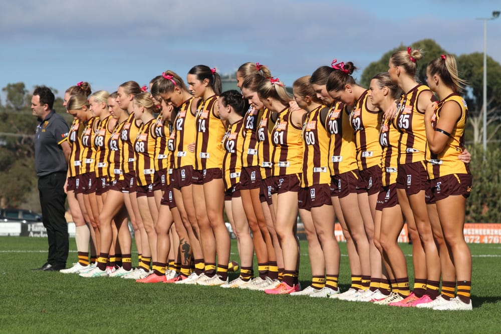 Women’s sports gaining momentum post image