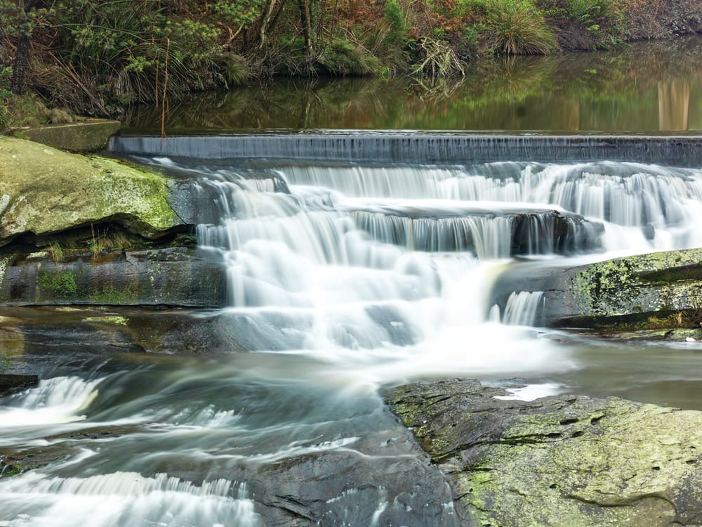 Last willow gone from Agnes River post image