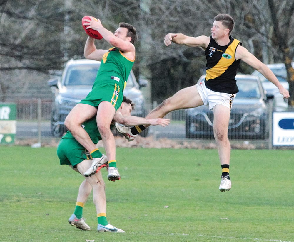 High-flying Parrots aim to stay on top post image