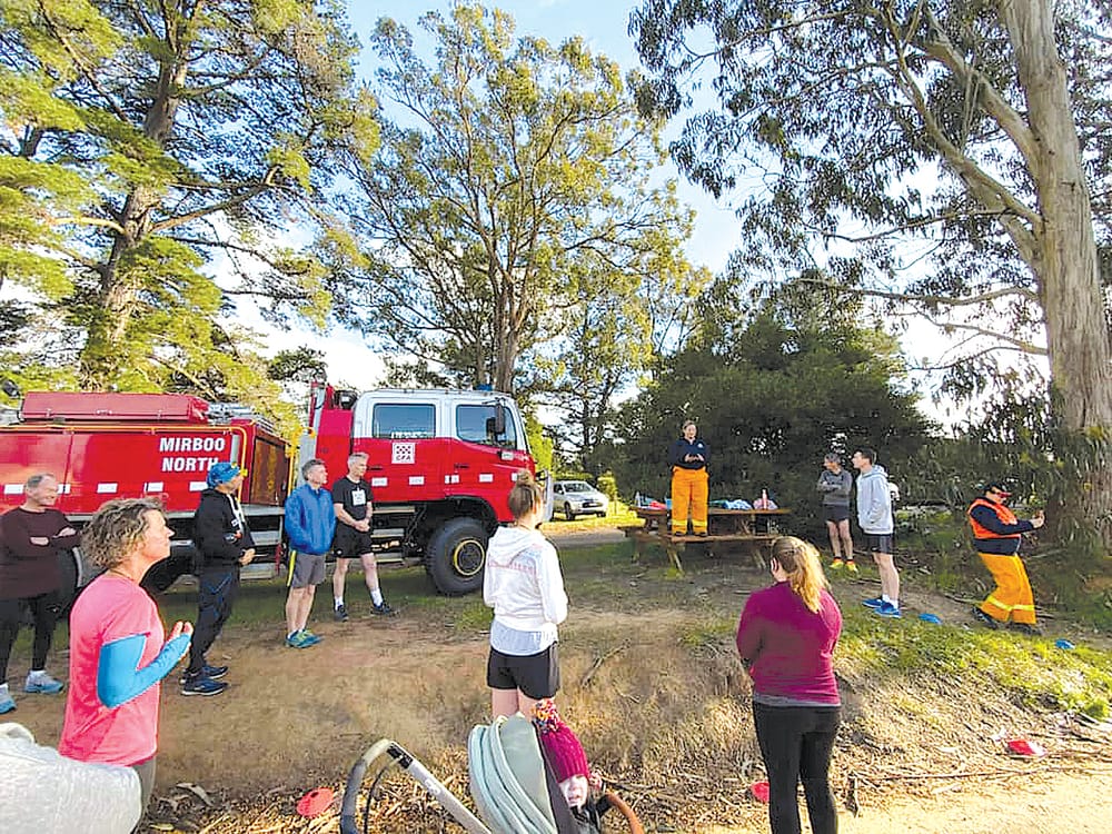 Five years of parkrun post image