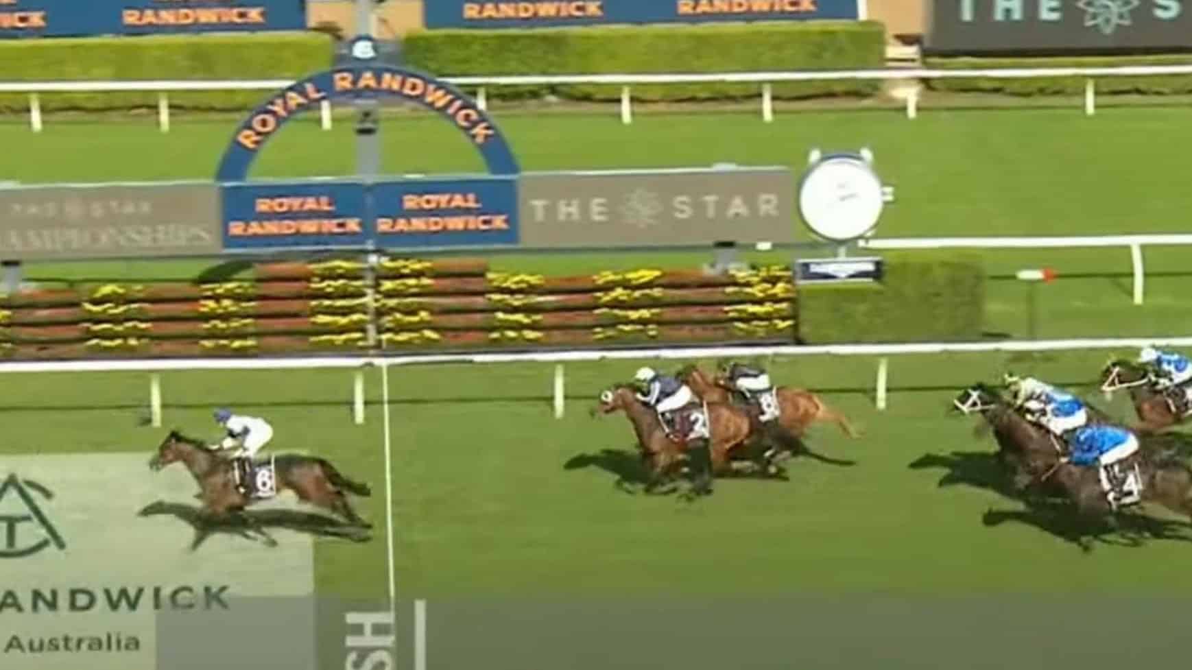 ‘Roughy’ joins Hawks’ mates in $1 million win post image