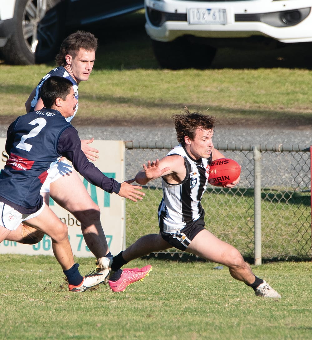 Magpies rise to the occasion post image