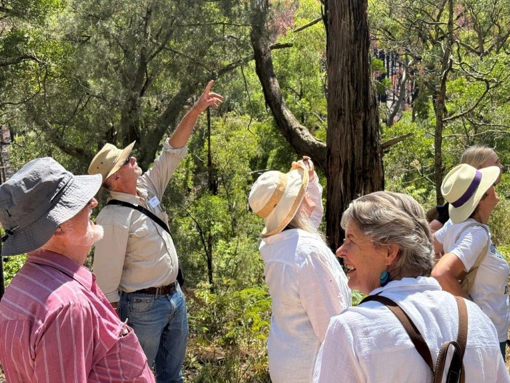 ​​​​​​​Let The Gurdies regeneration begin! post image