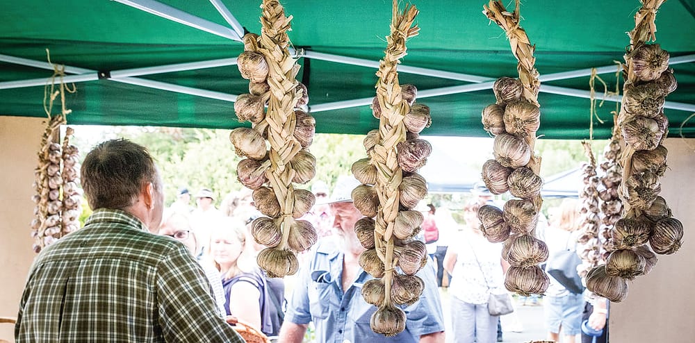 Garlic Festival coming back to South Gippsland in 2025 post image