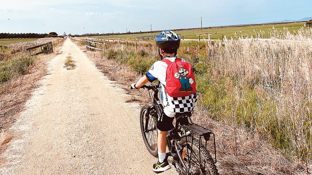 Seven-year-old embarks on epic journey post image