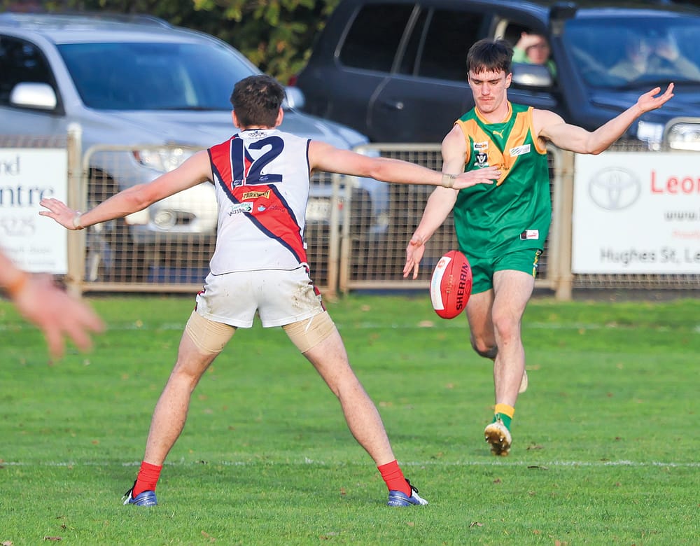 Parrots tested early by visiting Bairnsdale post image