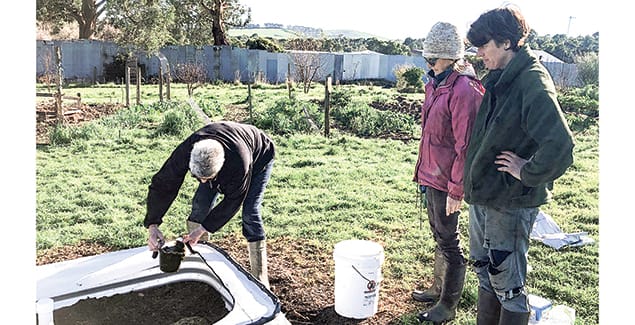 Dung beetle nurseries are digging in post image