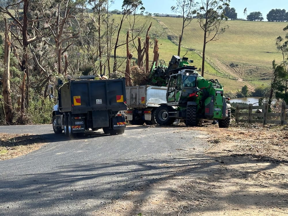 Last week for free disaster waste disposal post image