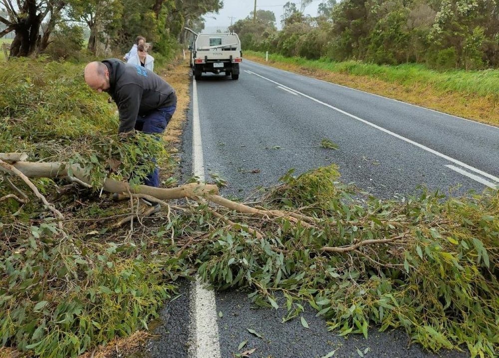 Trees down, take care on roads post image