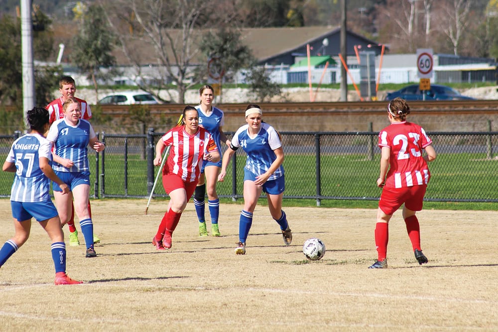 Knights draw in second last round before finals post image