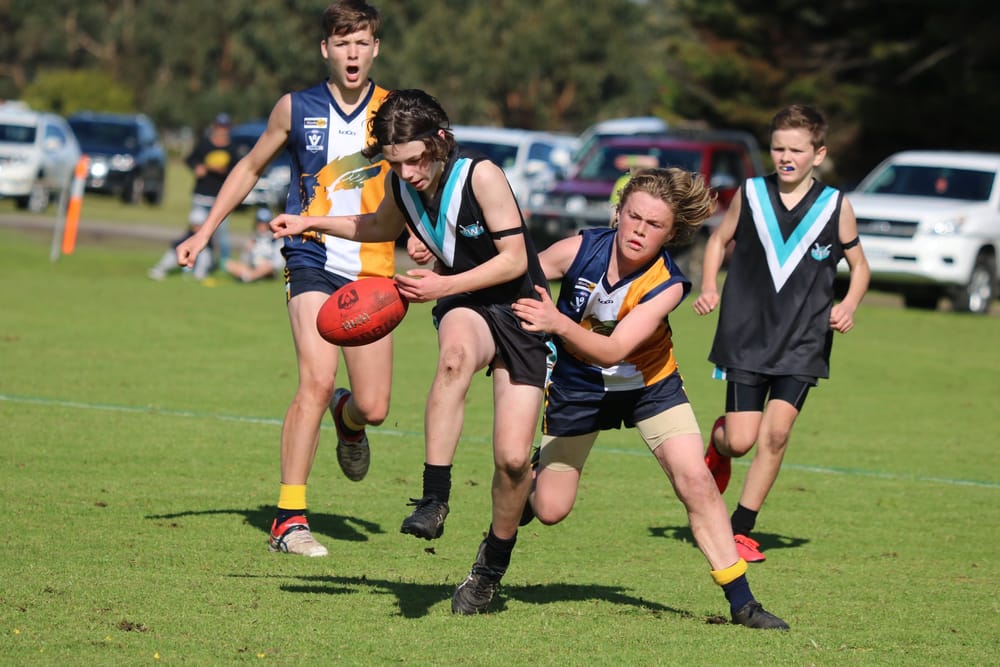 Regional junior sport returns post image