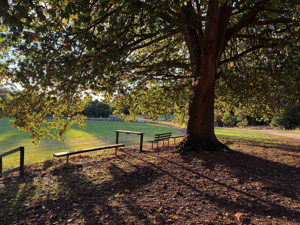 What does it say about Erin Patterson's relationship with Simon and his family? post image