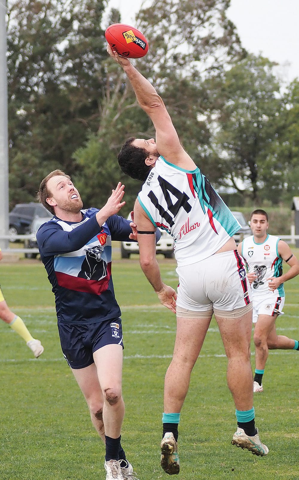 Fast start fades as Panthers fall to disciplined Cobras post image