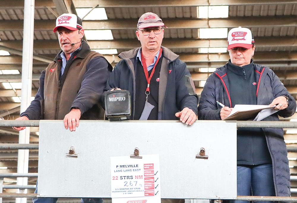 Heavy cattle continue to sell well at Leongatha VLE post image