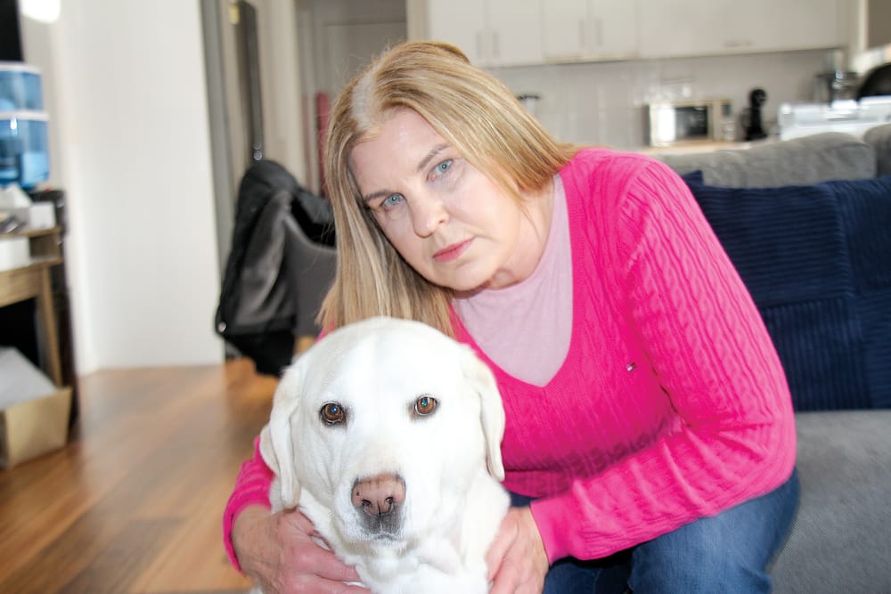Guide dog lucky to survive horrific dog attack post image