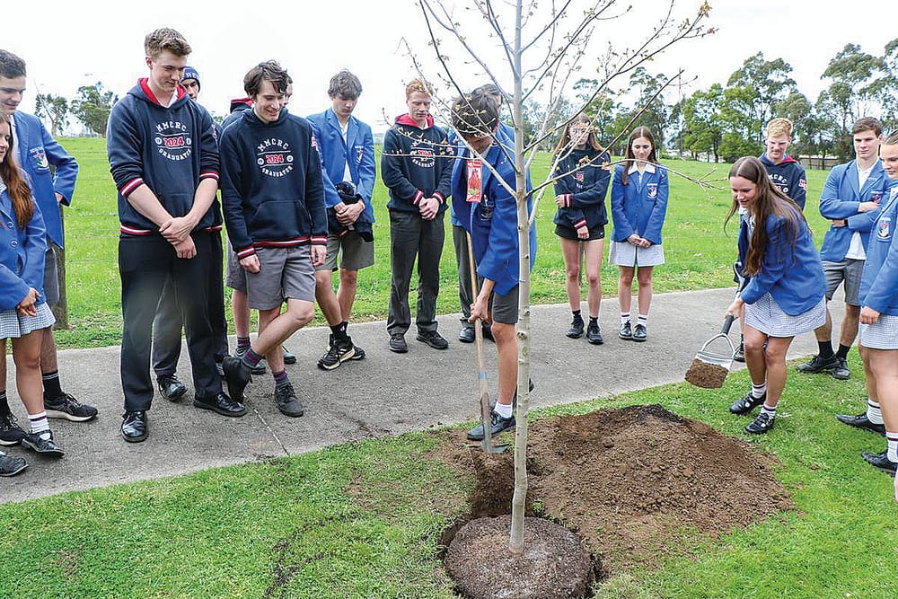 Graduation tree a lasting remembrance of Mary MacKillop’s Class of 2024 post image