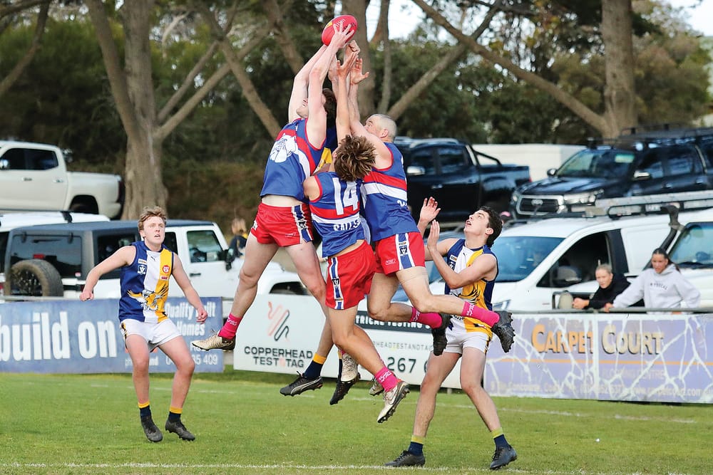 Dogs slaughter the Sea Eagles at the Kennel post image