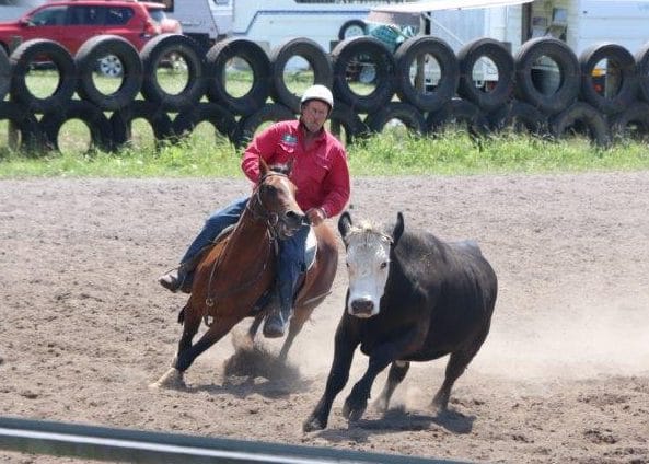 Big campdraft season continues at Dumbalk post image