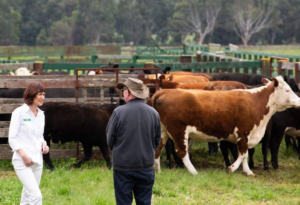 Update your biosecurity plans, says Melina Bath MP post image