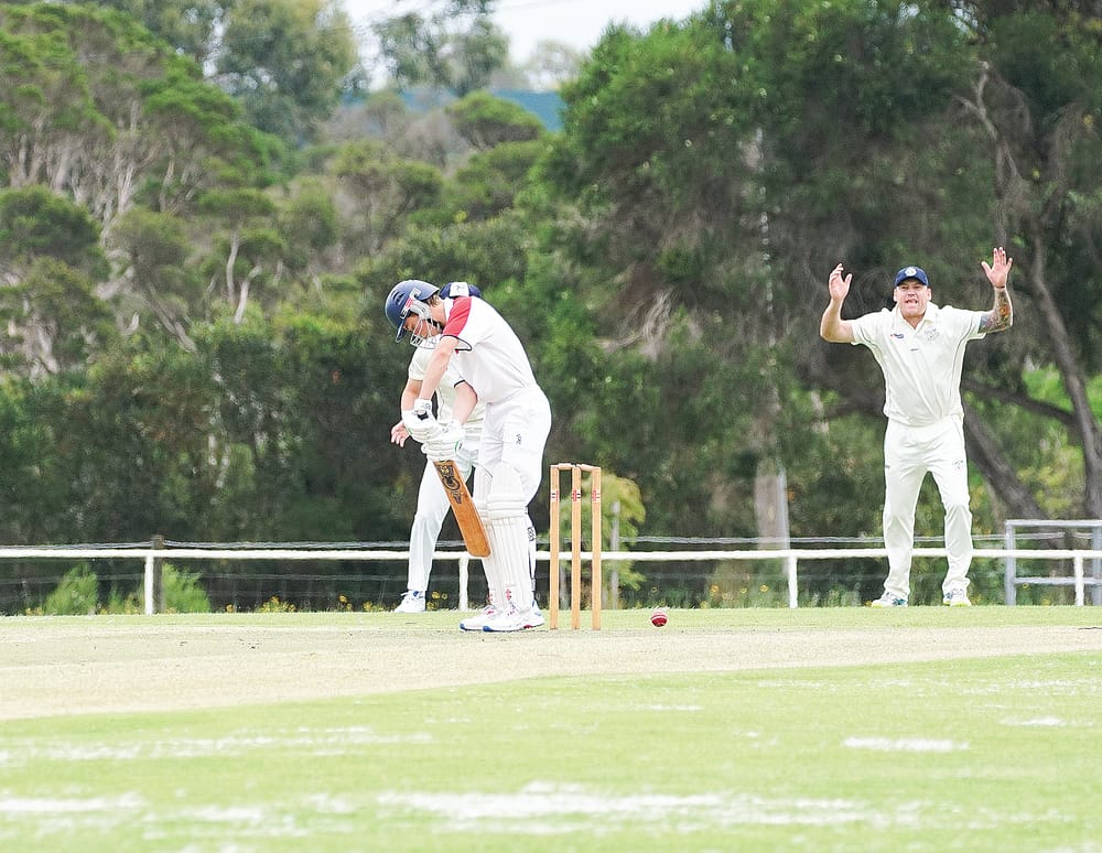 Donohue and Dakin dominate post image