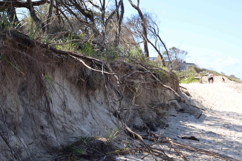 We've listened: No ‘hard engineering’ for Inverloch, says Minister post image