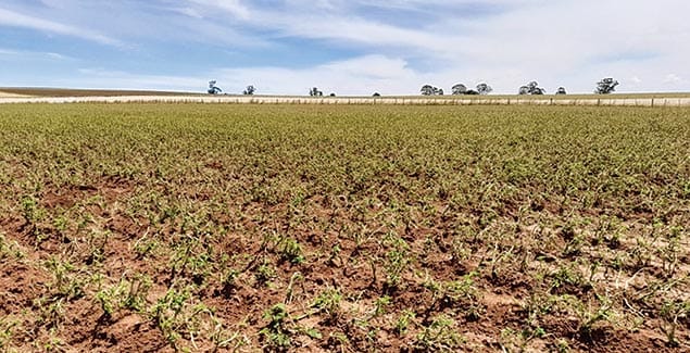 Rural aid stands with farming families post image