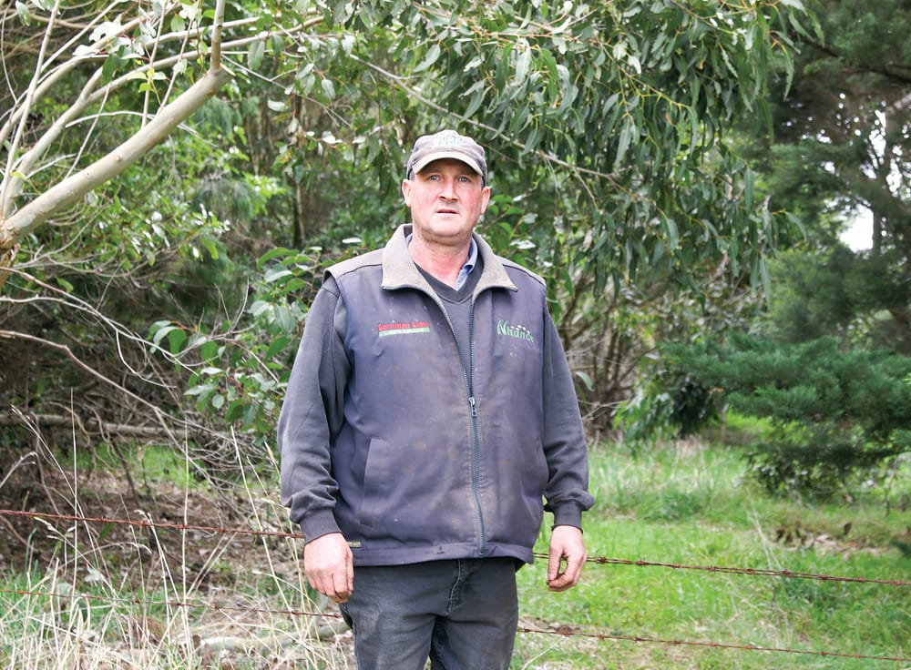 Threatened shire backflip leaves dangerous road crossing in play post image