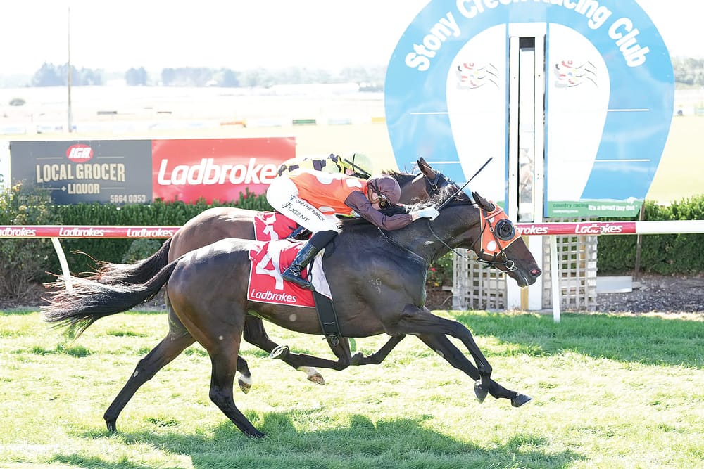 Fam Gorman triumphs in a neck-and-neck Stony Creek Cup post image