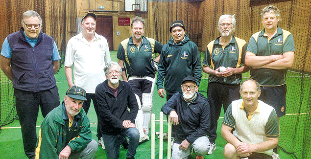 Cricket veterans back in training post image