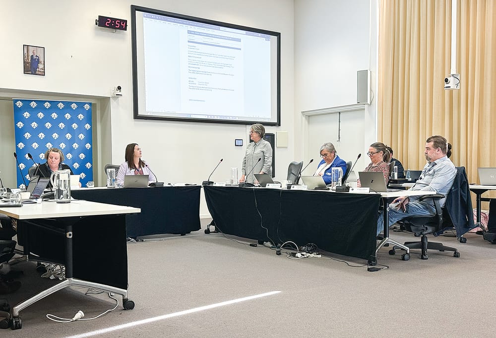 Council approves ambitious strategic plan for Coal Creek post image