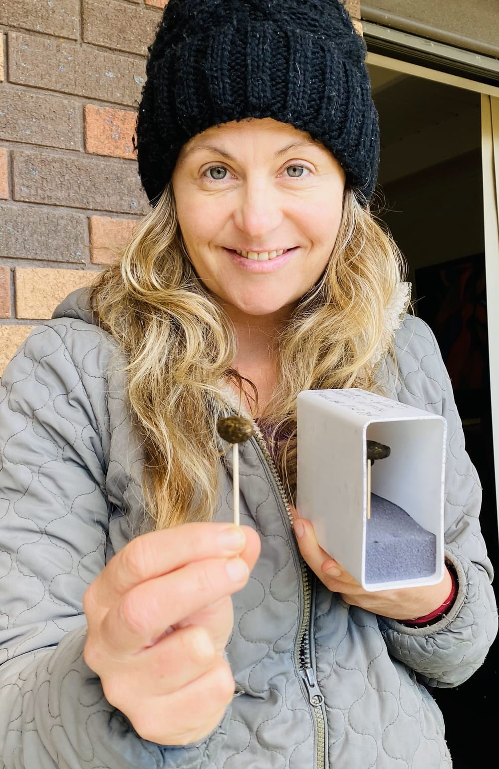 Vital work to preserve Strzelecki koalas post image