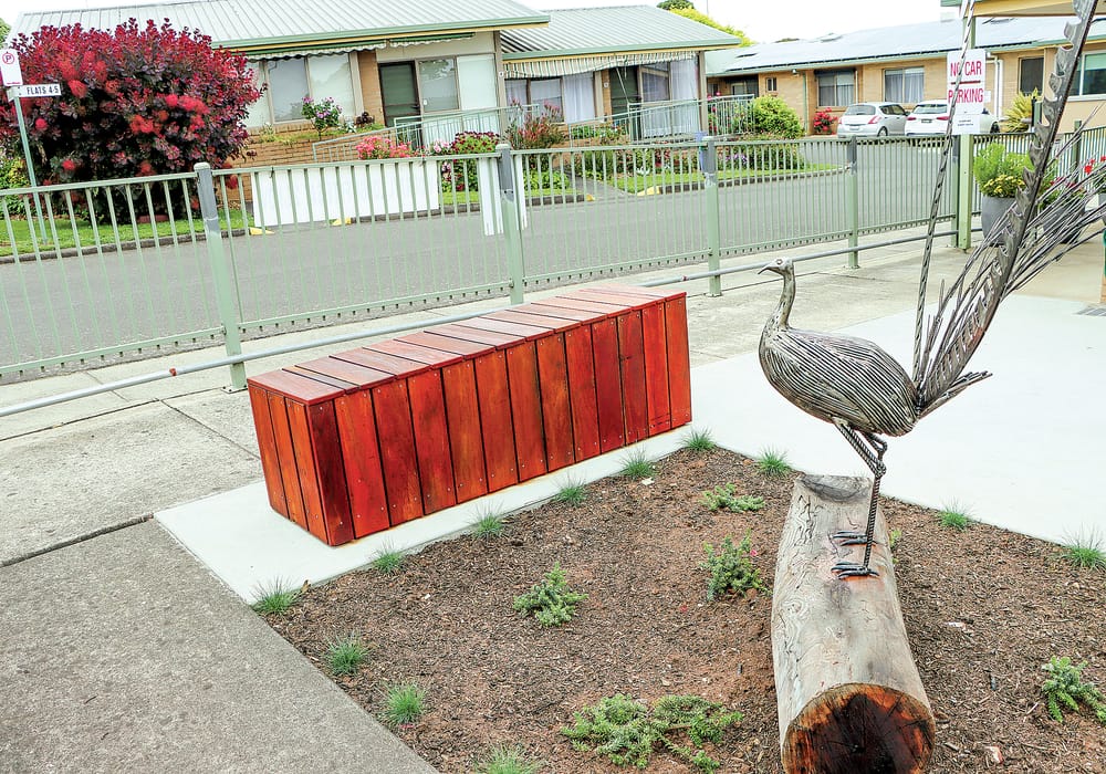 Lyrebird steals the show at Woorayl Lodge post image