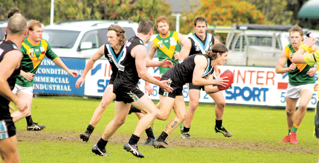 Parrots turn off the Power post image