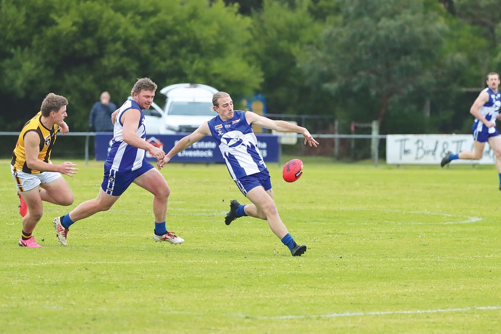 Hawks dominate with strong third quarter surge post image