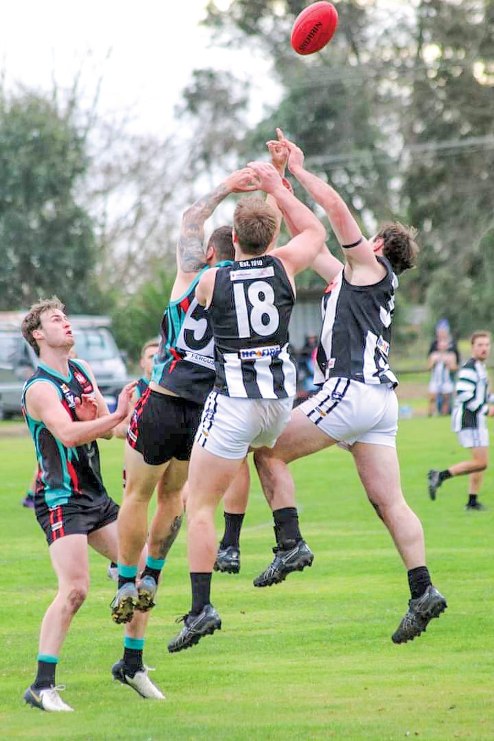 Gardiner bags nine as Cobras strike back post image