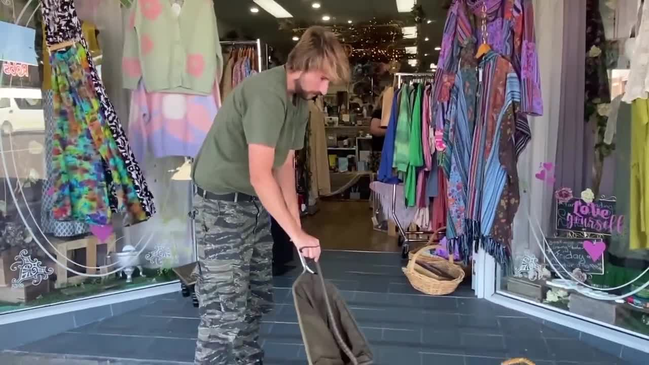 Tiger snake caught in Wonthaggi's main street post image