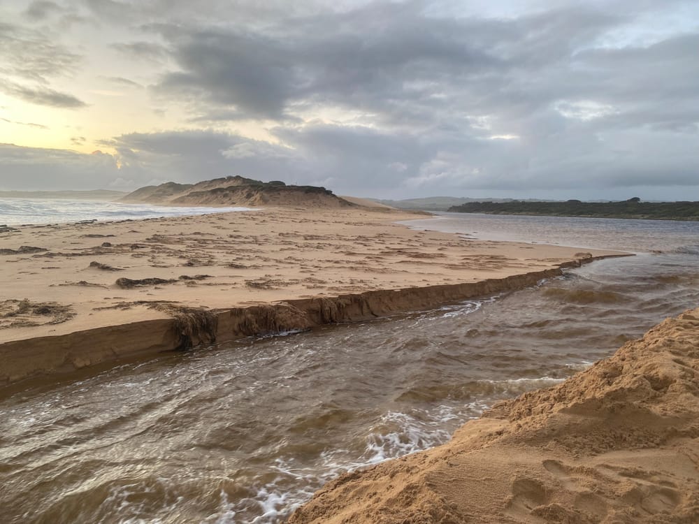Managing the balance of Bass Coast estuaries post image