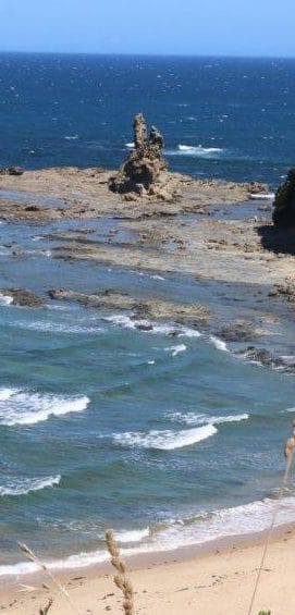 Will you walk to Phillip Island? post image